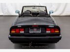 Thumbnail Photo 4 for 1987 Alfa Romeo Spider Quadrifoglio